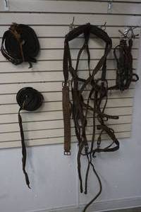 harness