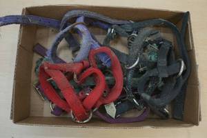 lama halters