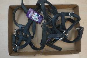 lama halters