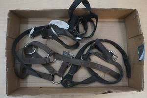 lama halters