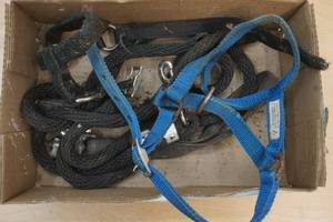 lama halters