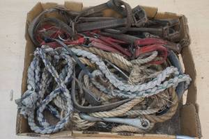 cattle leads