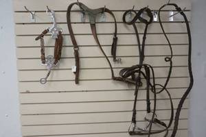 leather head stall with bit