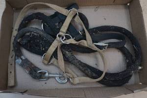 lamaalpaca halter