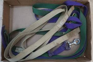 dog leashes