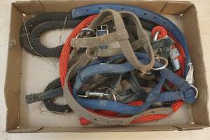 lamagoat halter
