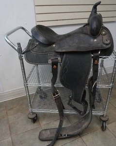black saddle