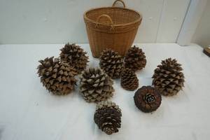 Wicker Basket with 8 Pine Cones