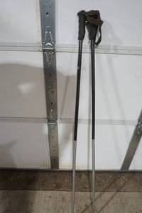 Ski Poles