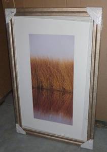 lot 171 image: New framed, matted, glass, Grass picture