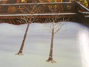 lot 16 image: Flocked Tress with LED Lights 2 Ct ...