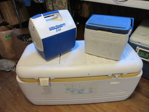 lot 220 image: IGLOO AND COLEMAN COOLERS