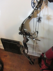 lot 132 image: DARTON COMPOUND BOW  WITH ACCESSORIES