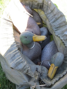 lot 182 image: BAG OF DUCK DECOYS