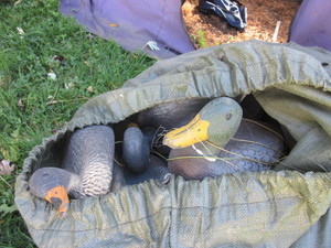 lot 183 image: BAG OF DUCK DECOYS