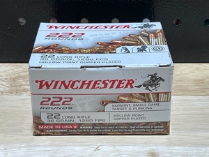 Winchester .22 Long Rifle Hollow Point 222 Rounds