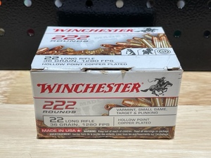 Winchester .22 Long Rifle Hollow Point 222 Rounds