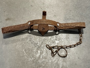 Double Longspring Trap