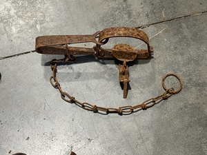 Single Spring Trap