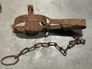 Single Spring Trap