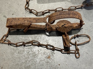Single Spring Trap
