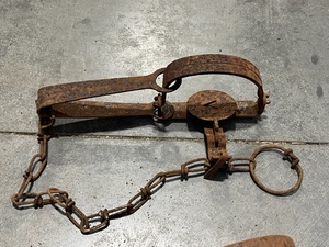 Single Spring Trap