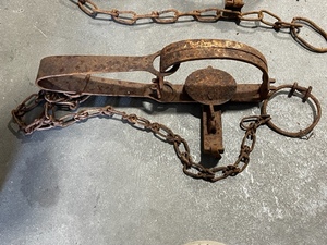 Single Spring Trap