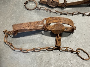 Single Spring Trap