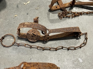 Single Spring Trap