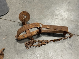 Single Spring Trap