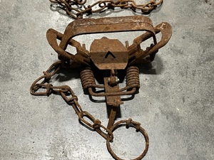 Double Spring Jump Trap