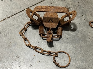 Double Spring Jump Trap