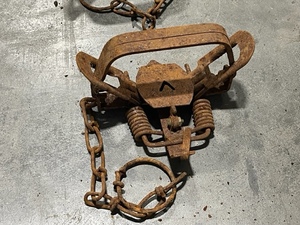 Double Spring Jump Trap