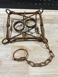 160 Conibear Trap