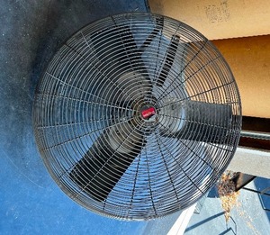 lot 24 image: Dayton 30 Commercial Industrial Duty Fan