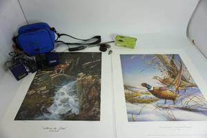 Above The Falls Picture by Derk Hanson-Uninvited Guests-Ring-necked Pheasants Picture by James A Meyer-Sawyers TransformeWith Blue Carrying Caser W 10 Cord-Williams Sound PFM Reciever-Hearing Helper