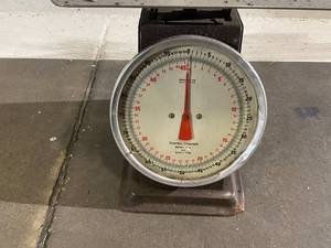 Scale (Temperature Compensated)