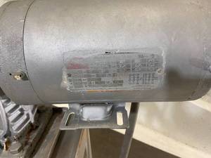 Stainless Steel Conveyor