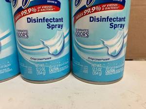 Lysol Disinfectant Spray