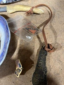 dish with Harley and other pin