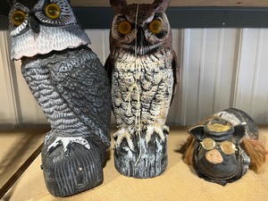 Owl and Pig Yard Ornaments