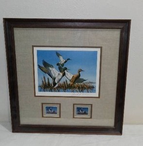 Vintage David Maass Waterfowl Print and stamp.