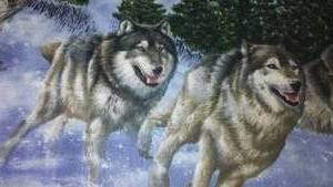 Wolf Towel Set.