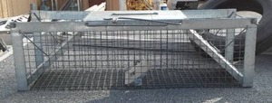 Live Trap, 37 in. L.