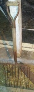 lot 308 image: Pitchfork With Narrow Tines.