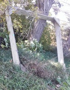 lot 351 image: Green treated 2 x 12 x 8 ft. (4)