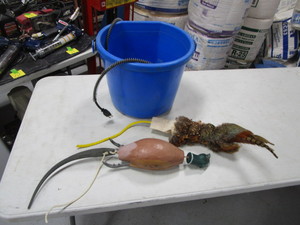 lot 44 image: Heated Water Bucket, Dog Training Aides