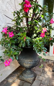 lot 19 image: Entry Cast Iron Urn #2