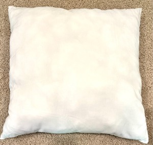 lot 162 image: 6 Pillow Inserts Waiting to be Covered in Various Sizes and Shapes