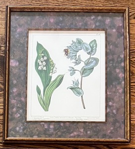 lot 63 image: Set of 4 Botanical Prints